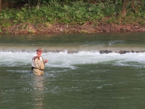 IMG_0546