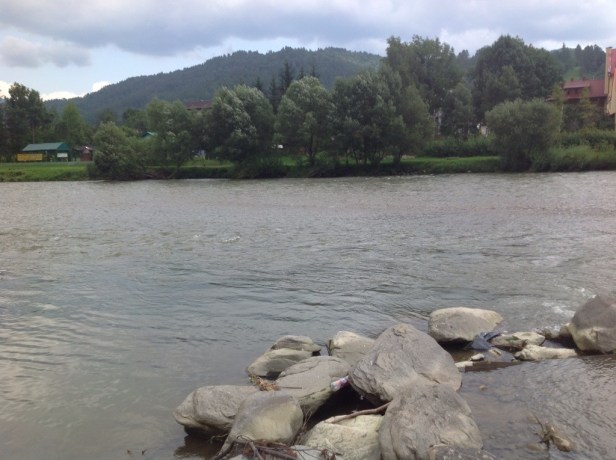 20140729-131643-47803577.jpg