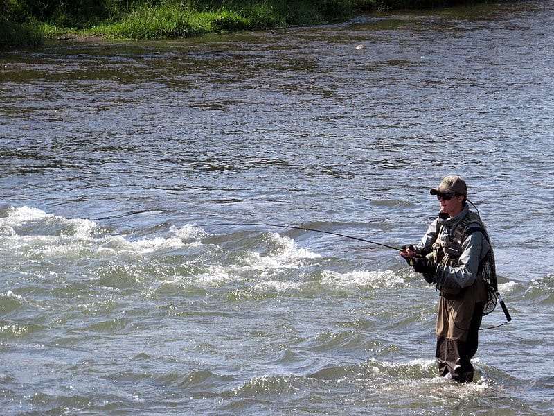 Sezon na pstrągi: Dunajec.