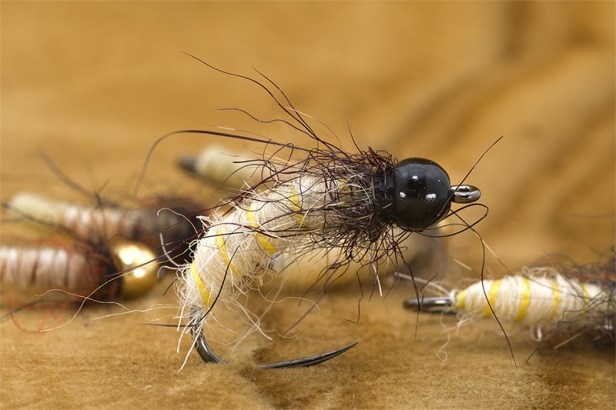 troutline-caddis-nymph-with-yarn